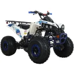 X-Pro 125cc Gass ATV