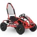 Interceptor Kids Gas Powered Go Karts.