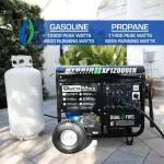 DuroMax DS12000EH 12,000 Watt Dual Fuel Portable Generators.