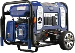 Ford 11,050 Watt Dual Fuel Portables Generators FG11050PBE