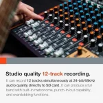 Tascam Model 12 All-in-One 12-track Digital Multitrack Mixings and Recording Studio, Mixer, USB Audio Interface and DAW Controllers