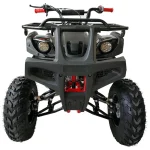 200 ATV Quad 4 Wheelers Utility Full Sizee Adult ATVs Big Youth ATVs
