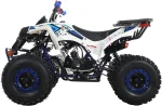 X-Pro All Terrain Vehicle 125cc ATV with Front Bumpers