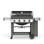 Weber Genesis II E-410 NGs