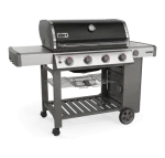 Weber Genesis II E-410 NGs
