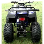 Rps 200cc Utiliity 169 cc ATV