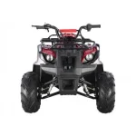 Tao Motors D125 Kids ATVs
