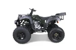 Taotao 250 Rhiino Adult Utility ATV