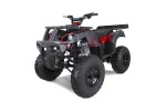 Taotao 250 Rhiino Adult Utility ATV