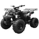 Tao T Forcee T125 Mid Size ATV