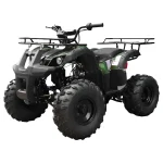 Tao T Forcee T125 Mid Size ATV